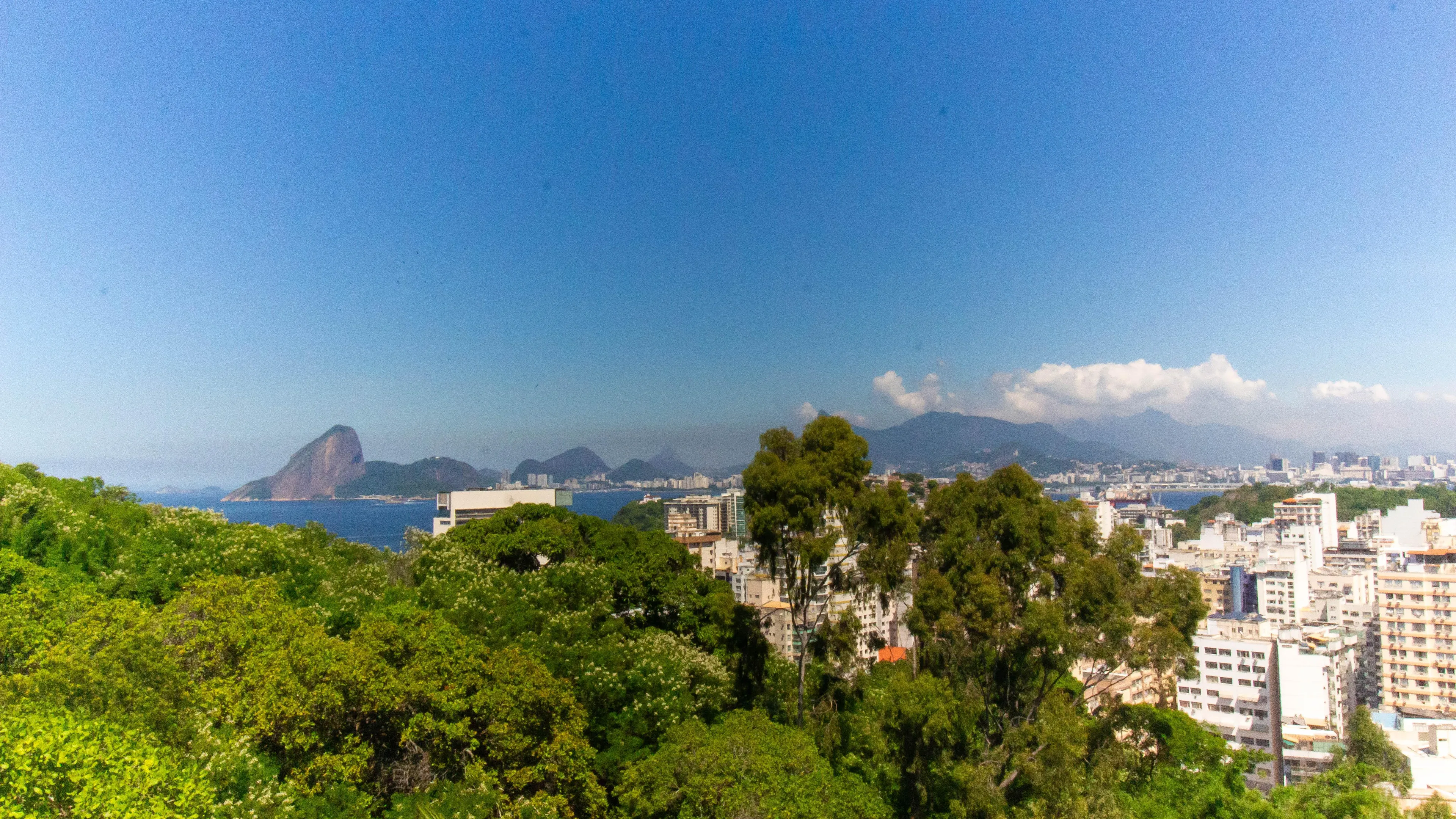 Apartamento - Sou Mais Icaraí - foto 20